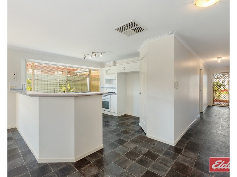 2 Selway Place, Evanston Park SA 5116