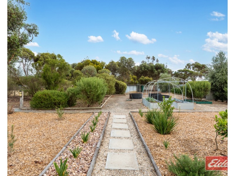 14 Schaefer Street, Freeling SA 5372
