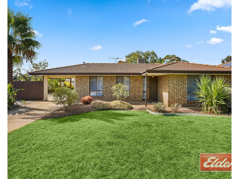 6 Brooks Avenue, Willaston SA 5118