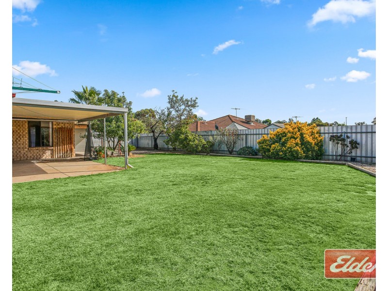 6 Brooks Avenue, Willaston SA 5118