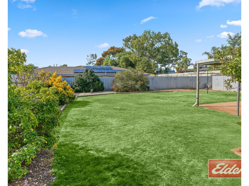 6 Brooks Avenue, Willaston SA 5118