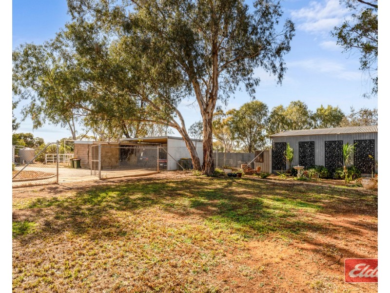 51 Roediger Road, Buchfelde SA 5118