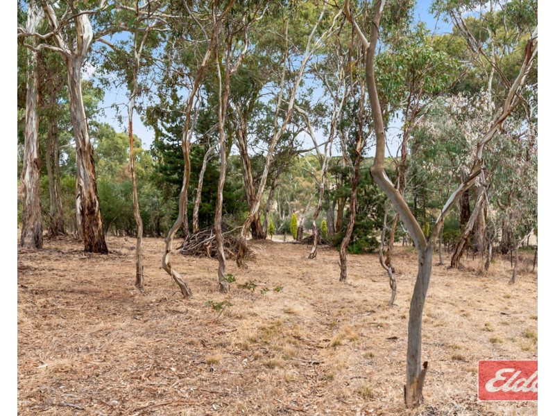 42 South Terrace, Williamstown SA 5351