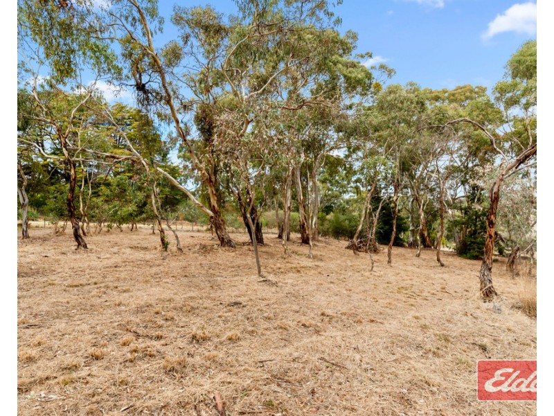 42 South Terrace, Williamstown SA 5351