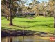 501 Yettie Road, Williamstown SA 5351