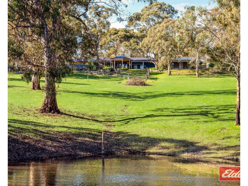 501 Yettie Road, Williamstown SA 5351