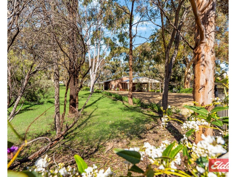 501 Yettie Road, Williamstown SA 5351