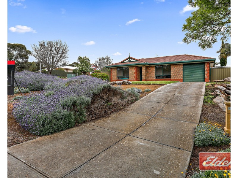 17 Congdon Street, Gawler East SA 5118