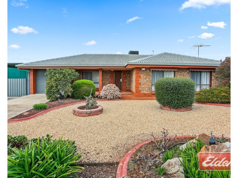 12 Holness Avenue, Gawler East SA 5118