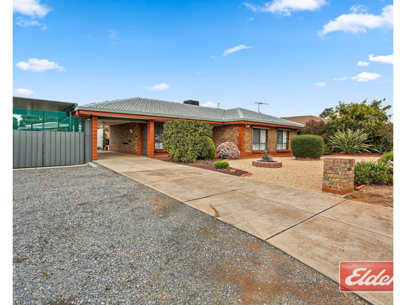 12 Holness Avenue, Gawler East SA 5118