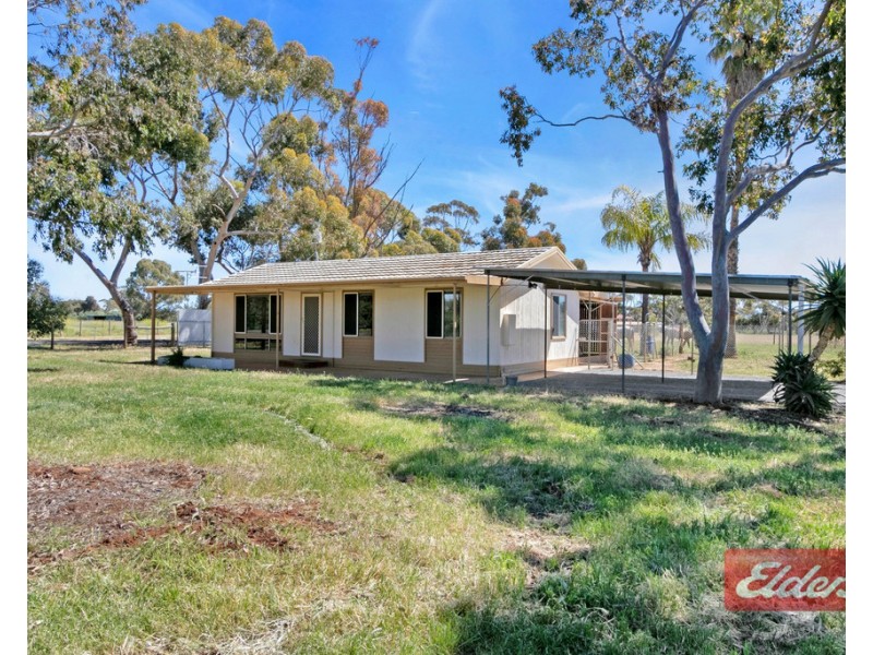 35 Badman Street, Hillier SA 5116