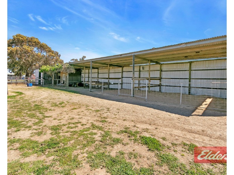 35 Badman Street, Hillier SA 5116