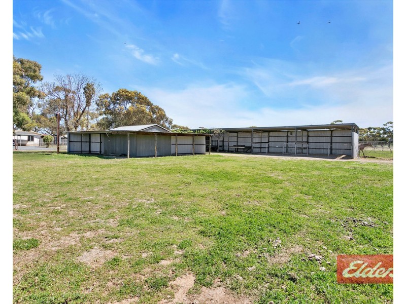35 Badman Street, Hillier SA 5116