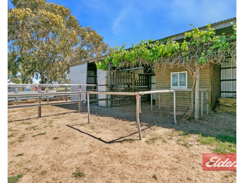 35 Badman Street, Hillier SA 5116