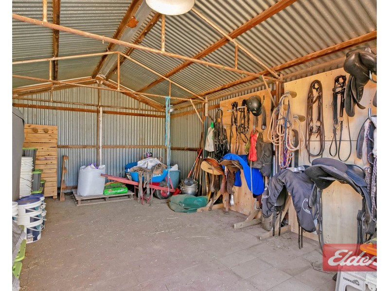 35 Badman Street, Hillier SA 5116