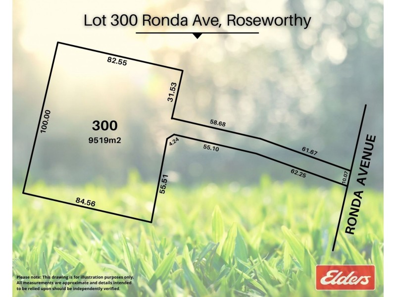 Lot 300 Ronda Avenue, Roseworthy SA 5371