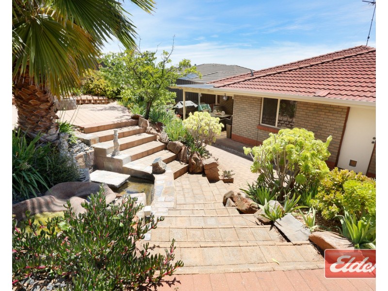 20 McGahan Crescent, Gawler East SA 5118