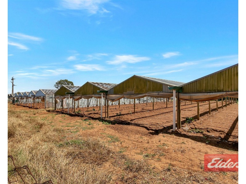 122 Edinburgh Road, Direk SA 5110