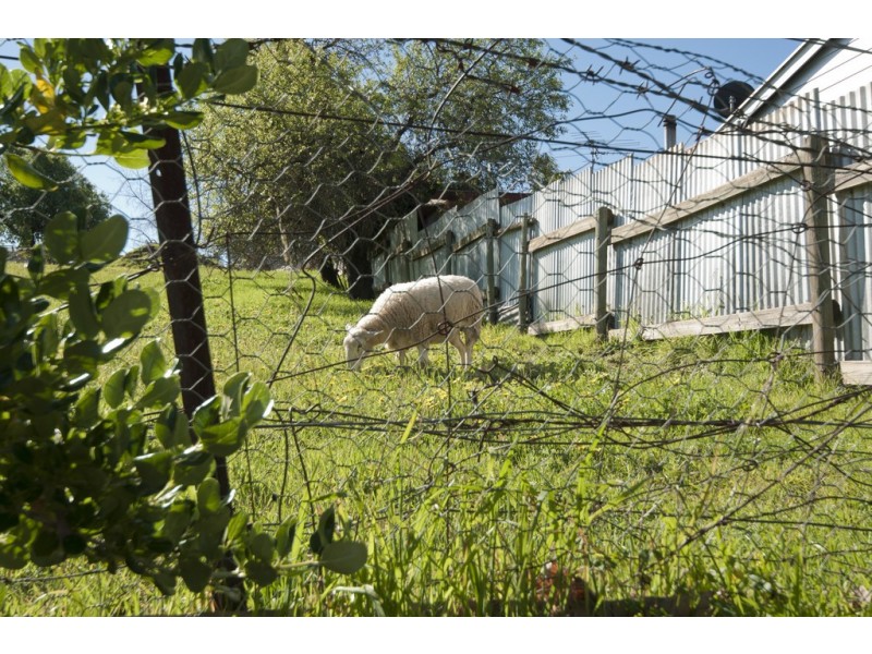 Unit 2 / 46  Gilbert Street, Lyndoch SA 5351