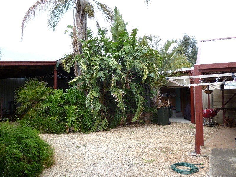 6 Haines Road, Willaston SA 5118