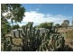 Lot 26 Klemm Road, Kapunda SA 5373