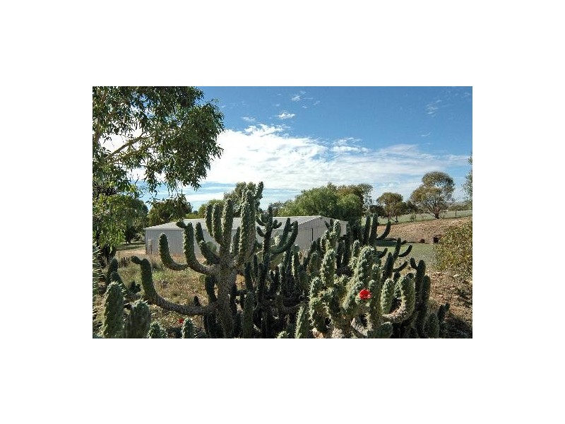 Lot 26 Klemm Road, Kapunda SA 5373