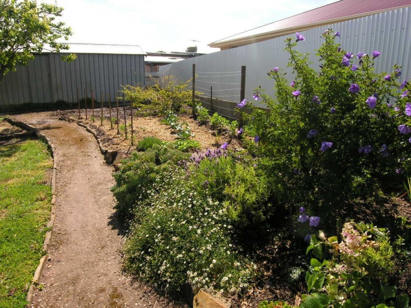 7 Waterhouse Street, Kapunda SA 5373