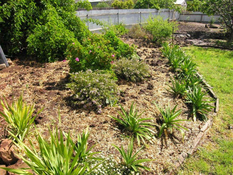 7 Waterhouse Street, Kapunda SA 5373