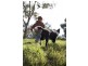 Lot 1 – 60 Greenock Creek Estate, Greenock SA 5360