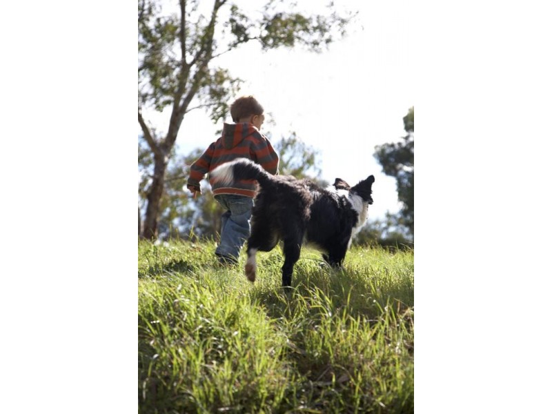 Lot 1 – 60 Greenock Creek Estate, Greenock SA 5360