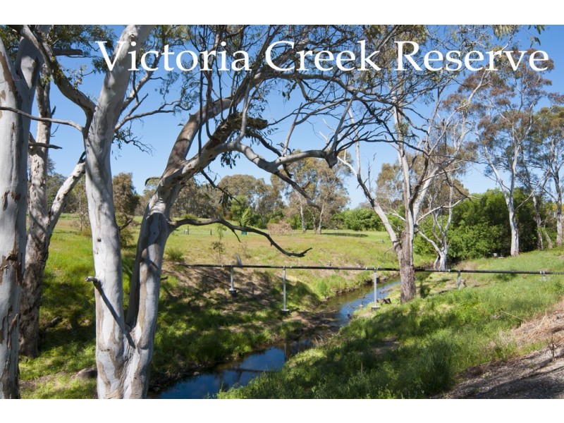 20 Victoria Terrace, Williamstown SA 5351