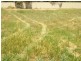 Lot 152 Stollberg Road, Freeling SA 5372