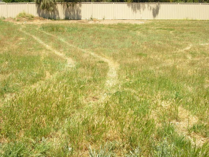 Lot 152 Stollberg Road, Freeling SA 5372
