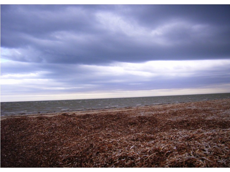 13 First Street, Parham SA 5501