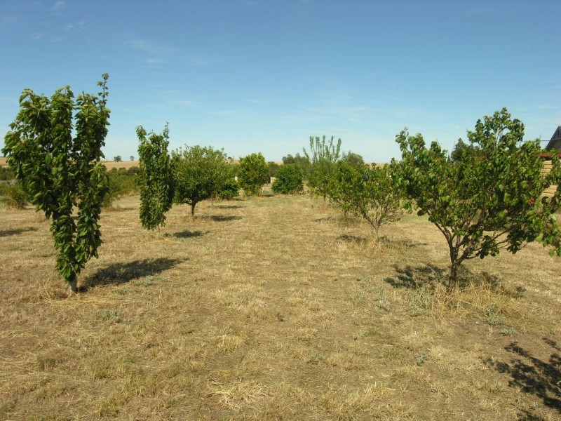 Lot 47 Kakatoe Crescent, Cockatoo Valley SA 5351