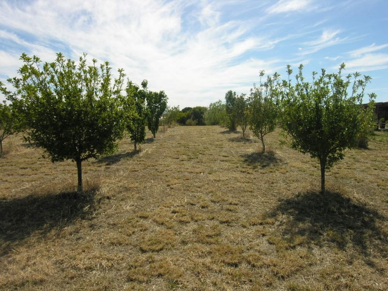 Lot 47 Kakatoe Crescent, Cockatoo Valley SA 5351