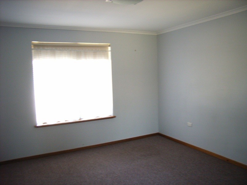 Unit 4/19 Sauvignon Street, Nuriootpa SA 5355
