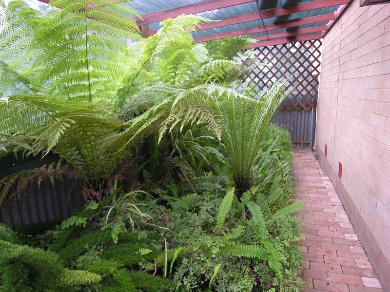 6 Montacute Street, Elizabeth Downs SA 5113