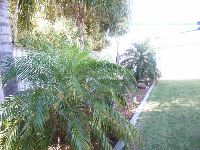 8 Mold Court, Evanston Park SA 5116