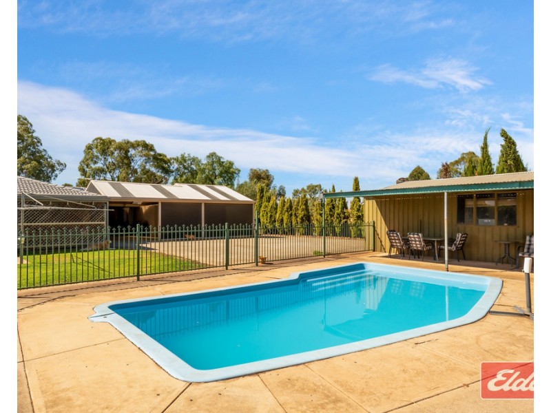 31 Holmes Street, Willaston SA 5118
