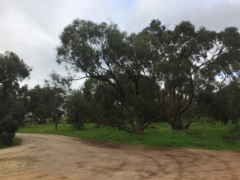 16 Edward Road, Gawler Belt SA 5118