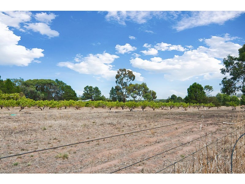 8A Meshach Burge Terrace, Lyndoch SA 5351