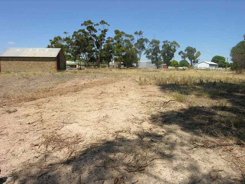 Lot 43 Railway Terrace, Freeling SA 5372