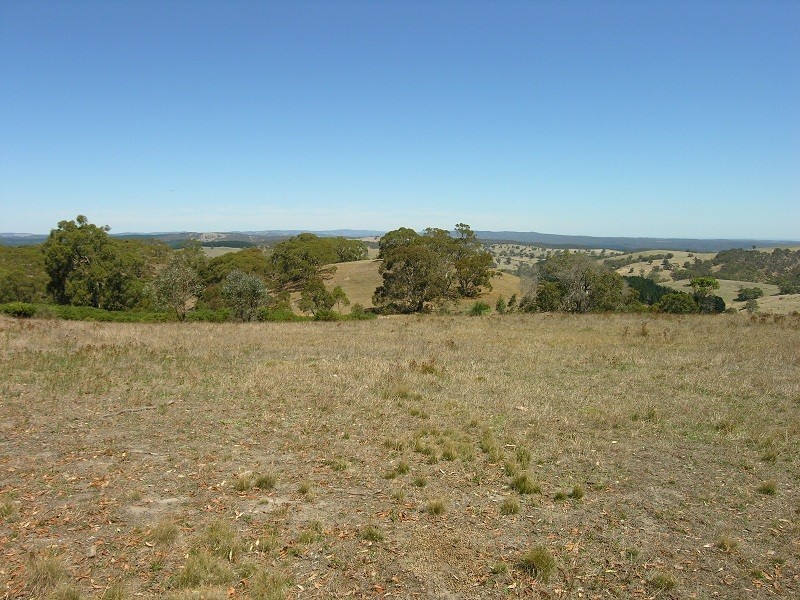 Lot 110 Tower Road, Pewsey Vale SA 5351