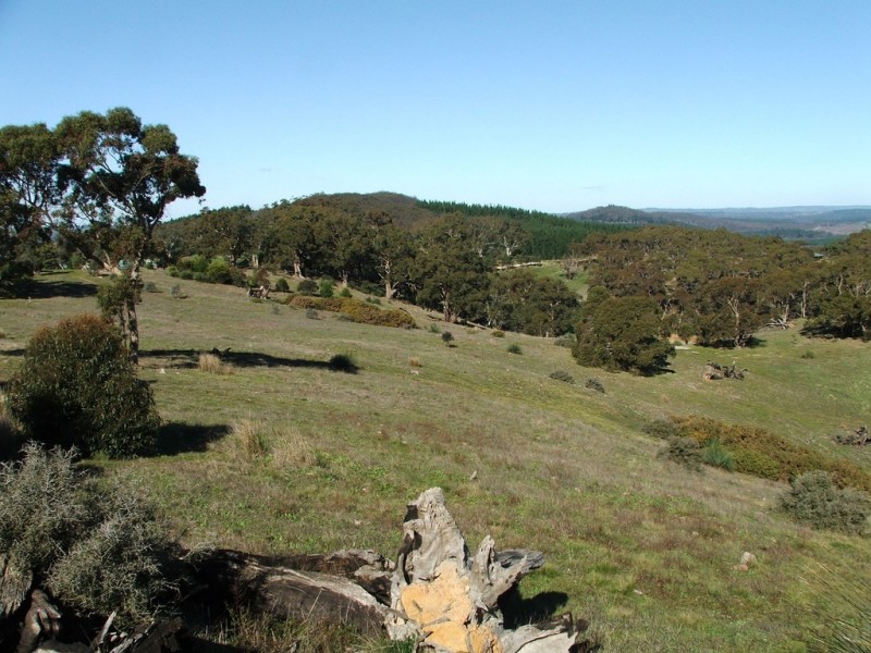 Lot 110 Tower Road, Pewsey Vale SA 5351