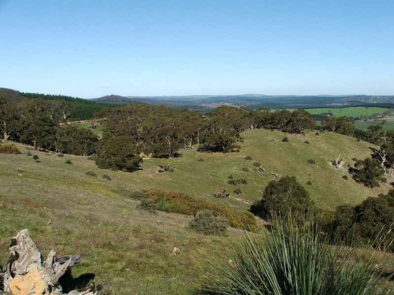 Lot 110 Tower Road, Pewsey Vale SA 5351