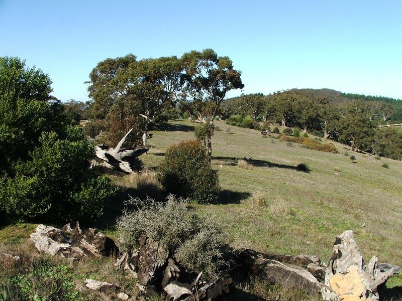 Lot 110 Tower Road, Pewsey Vale SA 5351