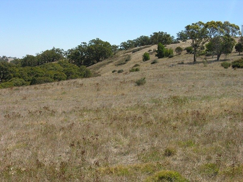 Lot 110 Tower Road, Pewsey Vale SA 5351