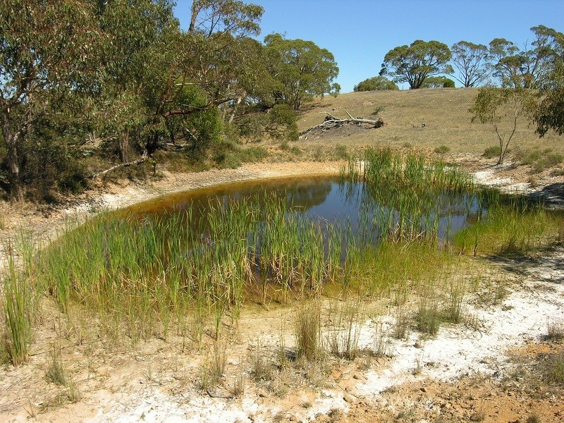 Lot 110 Tower Road, Pewsey Vale SA 5351