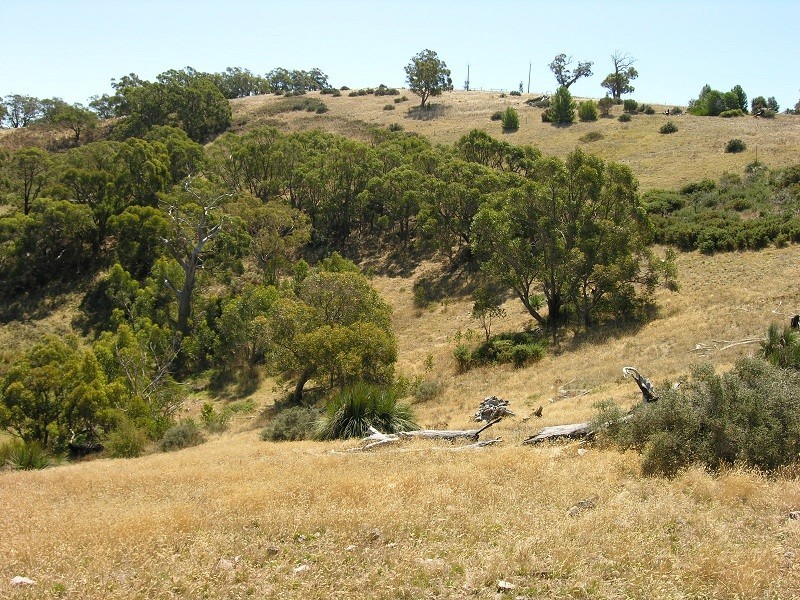 Lot 110 Tower Road, Pewsey Vale SA 5351